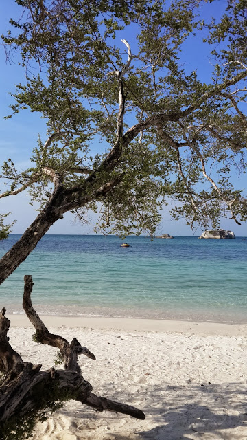 Pantai Tanjung Tinggi