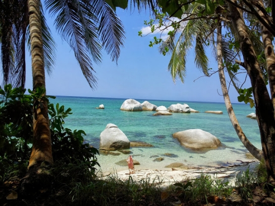Pulau Kepayang