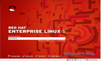 13716565151169478686