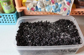 Es Tape Ketan Hitam Risolles Bikin Orang China Ketagihan Halaman All Kompasiana Com