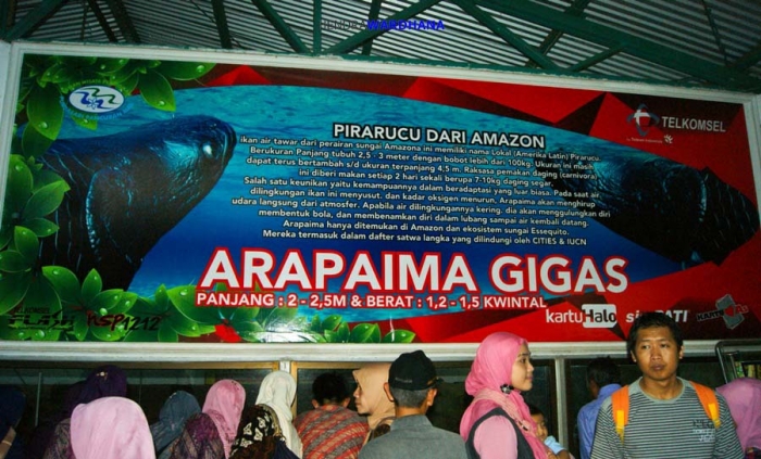 13903510101885746292