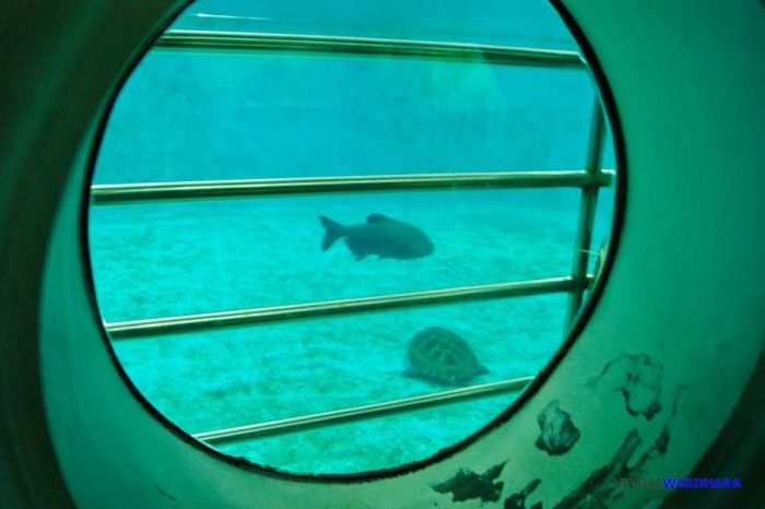 13903511371227338282