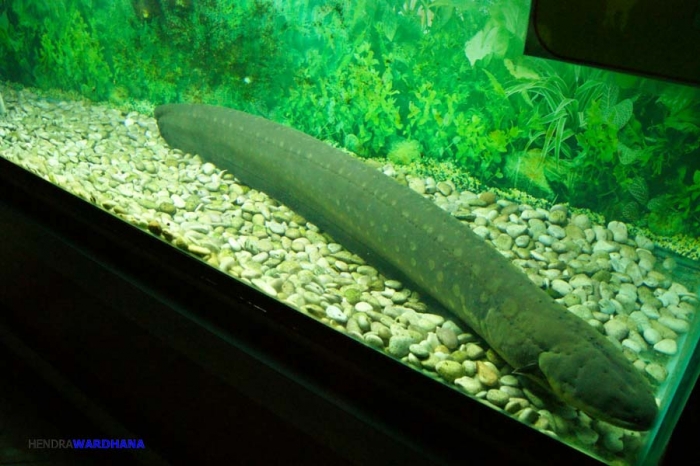 13903511691780412143