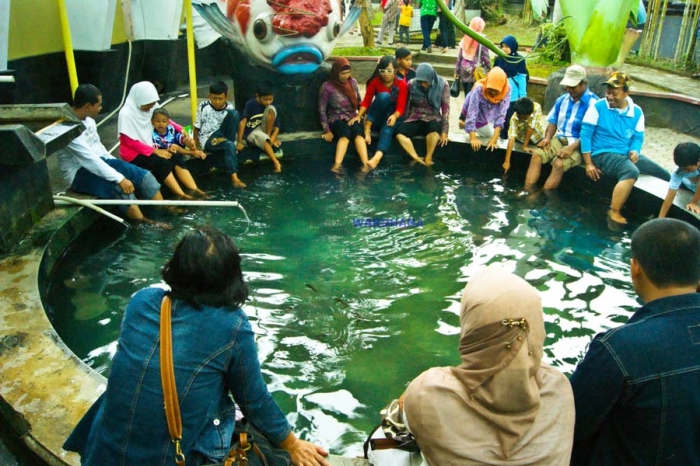 13903512461243439780