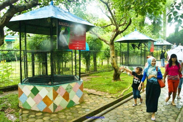 13903514071527439026