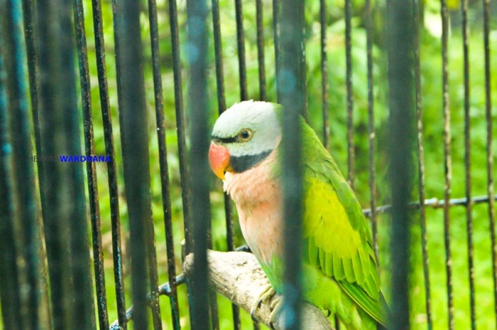 13903514911081302078