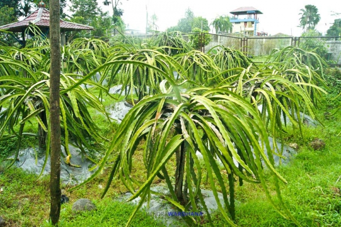 13903518381291720622