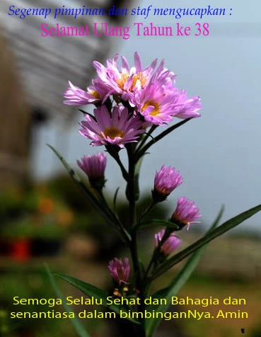 Kreatif Membuat Kartu Ucapan Katakan Dengan Bunga Kompasiana Com