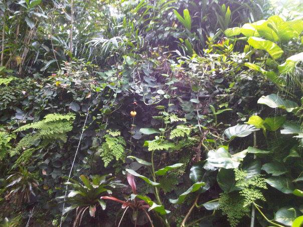 Halaman Rumah yang Kecil Bisa Jadi Hutan Kecil oleh Halaman Rumah yang Kecil Bisa Jadi Hutan Kecil oleh