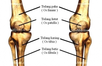Sakit Lutut Asam Urat Atau Rematik Atau Apa Kompasiana Com
