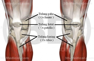 Sakit Lutut Asam Urat Atau Rematik Atau Apa Kompasiana Com