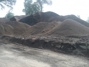 Cangkang Sawit Salah Satu Sumber Energi Alternatif Paling Cangkang Sawit Salah Satu Sumber Energi Alternatif Paling