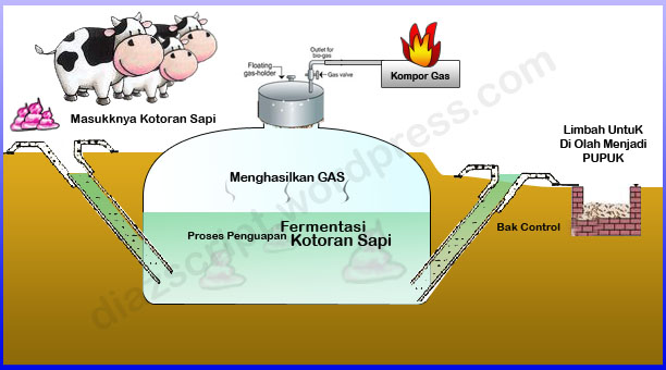 Biogas, Energi Hijau, Dan Kemandirian Energi - Kompasiana.com