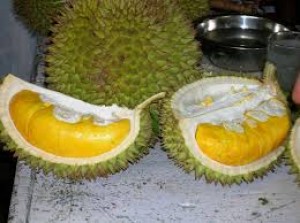 Orang Kenthir Makan Duren Kompasiana com Orang Kenthir Makan Duren Kompasiana com