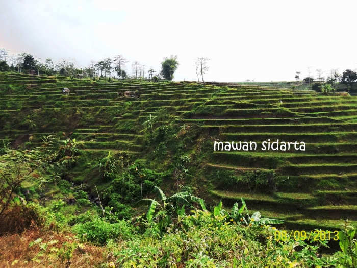 13793400941794368011