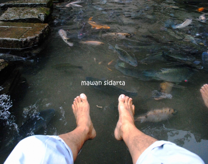 13793426531804092131