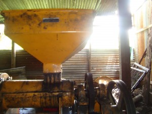 13911913061519263985