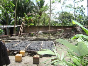 13911914681619736899