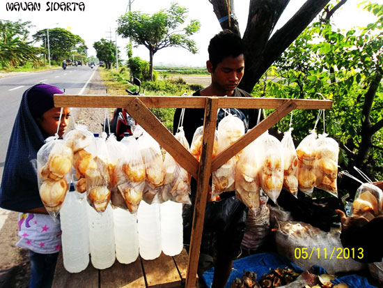 Siwalan Legen Pelepas Dahaga Penambah Sperma Kompasiana Com