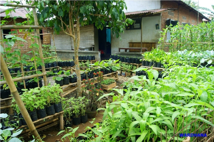 Melihat Desa Terbaik di Jawa Tengah dan Caranya Menopang  Melihat Desa Terbaik di Jawa Tengah dan Caranya Menopang