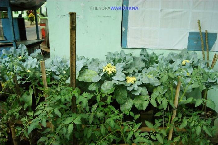 Melihat Desa Terbaik di Jawa Tengah dan Caranya Menopang  Melihat Desa Terbaik di Jawa Tengah dan Caranya Menopang