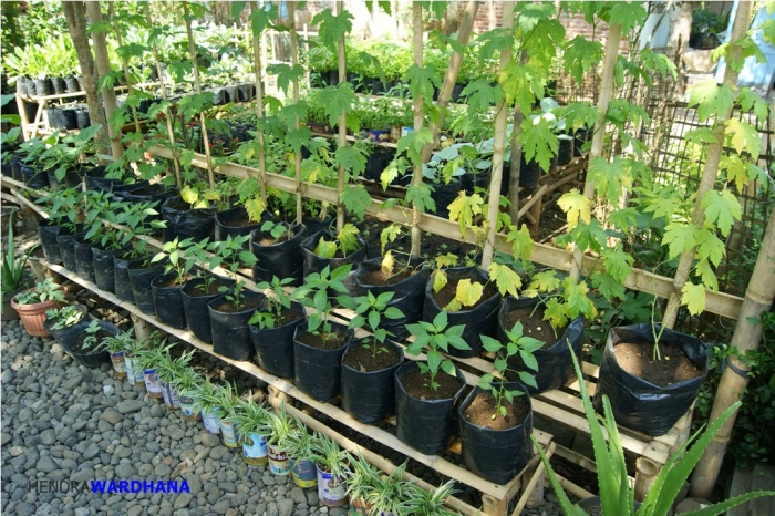 Melihat Desa Terbaik di Jawa Tengah dan Caranya Menopang  Melihat Desa Terbaik di Jawa Tengah dan Caranya Menopang