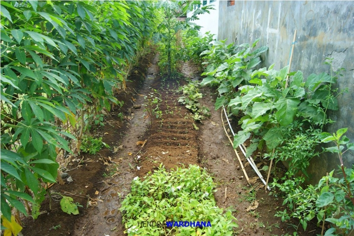 Melihat Desa Terbaik di Jawa Tengah dan Caranya Menopang  Melihat Desa Terbaik di Jawa Tengah dan Caranya Menopang