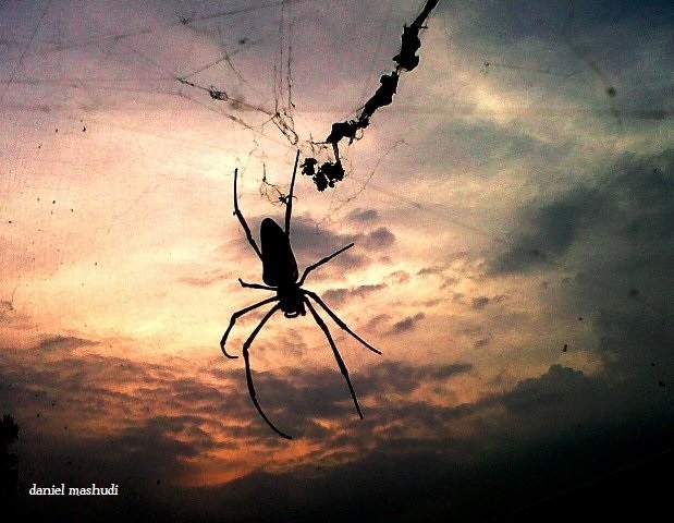 Caption Ig Foto Membelakangi Kamera - gaya selfie kekinian