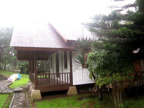 Jalan jalan Sambil Mengintip Peternakan Sapi di Cipayung Jalan jalan Sambil Mengintip Peternakan Sapi di Cipayung