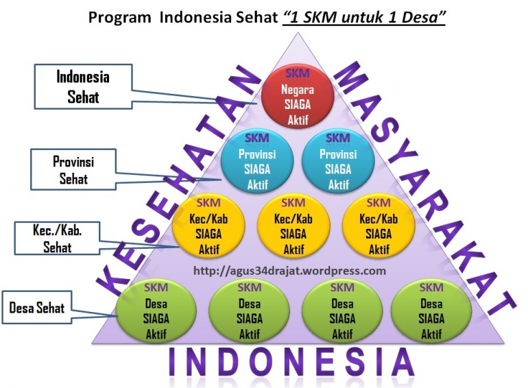 program indonesia sehat satu desa satu skm