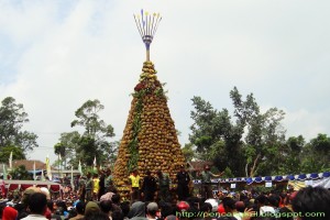 84 Gambar Pesta Durian Wonosalam 84 Gambar Pesta Durian Wonosalam