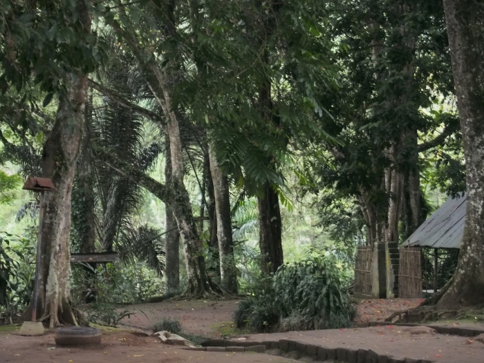 Lukisan Alam nan Cantik Tersembunyi di Desa Krisik oleh Lukisan Alam nan Cantik Tersembunyi di Desa Krisik oleh