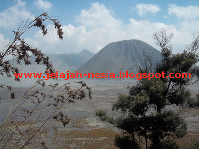 Penjual Bunga Edelweis di Gunung Bromo Kompasiana com Penjual Bunga Edelweis di Gunung Bromo Kompasiana com