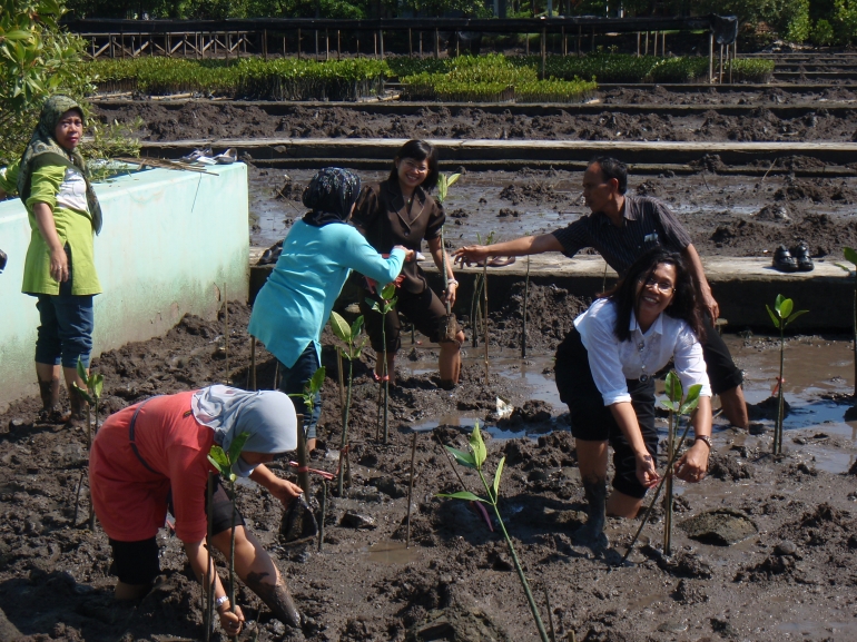 Pelatihan menanam mangrove di Mangrove Information Center, Bali