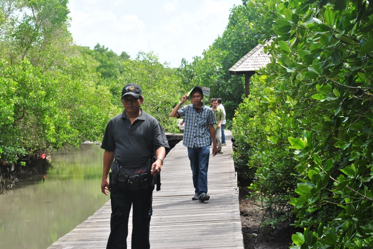 Berjalan di atas titian kayu sepanjang mangrove