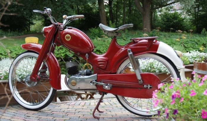 13495906331821164404