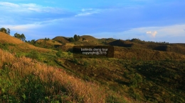 Inilah bukit teletubbies yang ada di Gunung Prau Dieng