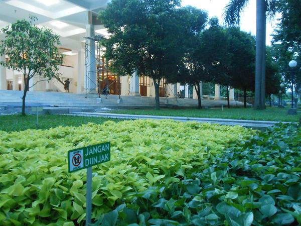 Taman di sisi utara masjid yang selalu terawat. Aneka rumput-rumputan dan pepohonan tertanam di sekitar Masjid Manarul Ilmi, membuat suasana sangat asri. (Bayu M. Wicaksono)