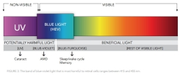 Light Visibility Chart - Ilustrasi: thevisioncouncil.org