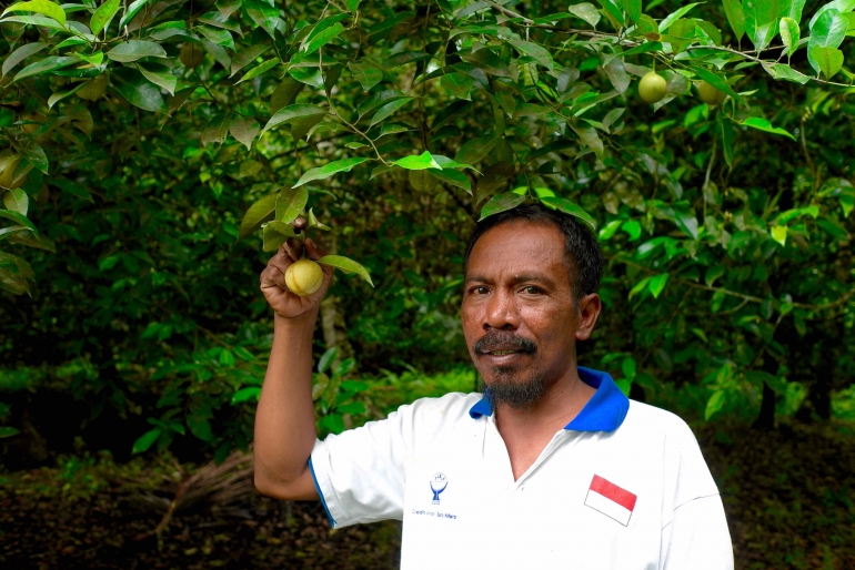 Dominggus Nones di kebun pala organik Desa Dokulamo, Kec. Galela Barat, Kec. Halmahera Utara