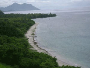 10 Pantai Terindah di Nusa Tenggara Timur