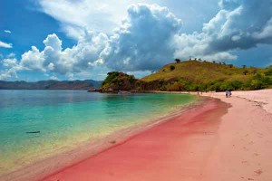 Pantai Pink Pulau Komodo