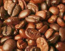 Sidikalang North Sumatra Roasted Coffee