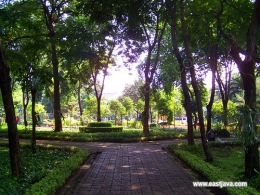 salah satu sudut tempat di kebun bibit Bratang Surabaya; (sumber:https://www.flickr.com/photos/eastjava/3283145521/) 