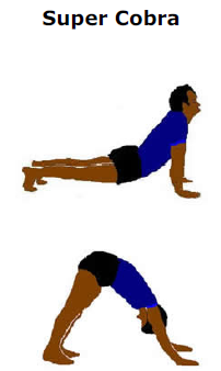 13538973531284494654