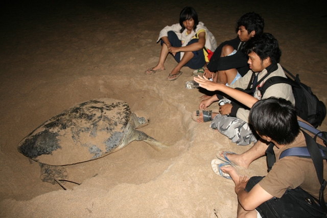 Tempat penangkaran penyu