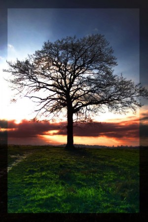 Mengapa  Matahari Pagi  Sore Lebih Adem Kompasiana com  Mengapa  Matahari Pagi  Sore Lebih Adem Kompasiana com