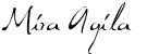 12980895222143784952