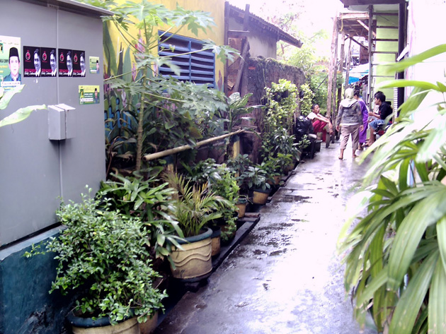 Lingkungan Rumah Kotor Awas Diare Dan Demam Berdarah