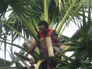 Minuman Legen Yang Nikmat Dan Segar Di Tuban Kompasiana Com